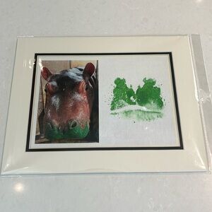 Cincinnati Zoo Fritz hippo kiss 11x14 matted art print